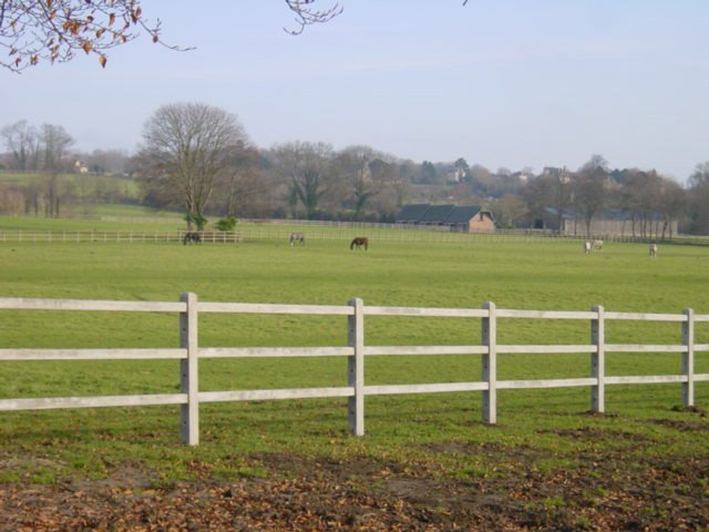 clôtures pour haras normands
