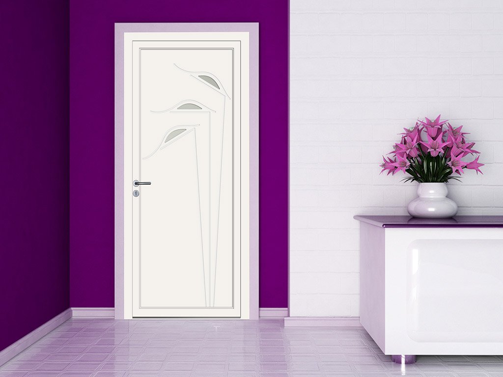 porte d'entrée en alu blanc et motifs